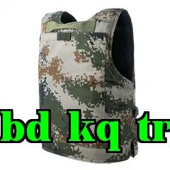 Áo giáp chống đạn loại 2004-B