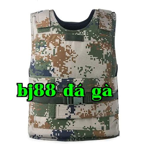 Áo giáp chống đạn loại 2004-B